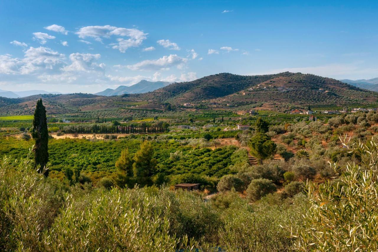 Ktima Constantin Villa Nafplio Ngoại thất bức ảnh